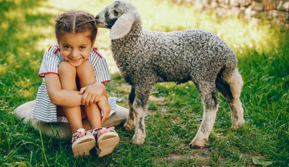 beautiful and cute girl in blue dresses with beautiful hairstyles and make-up sitting in a sunny green garden and playing with a goat